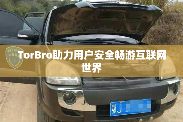 TorBro助力用户安全畅游互联网世界