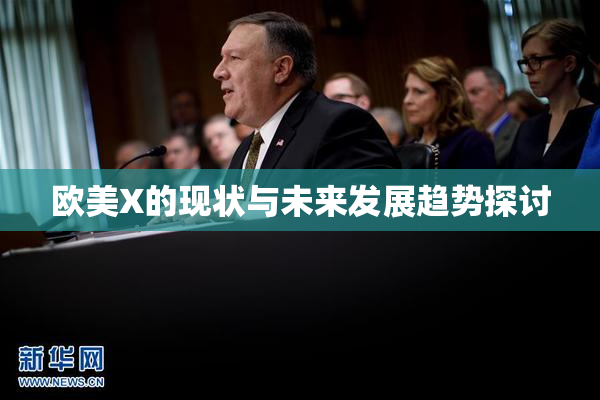 欧美X的现状与未来发展趋势探讨