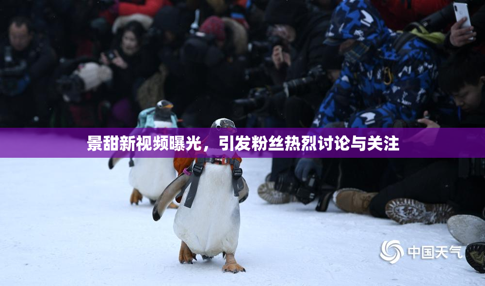 景甜新视频曝光，引发粉丝热烈讨论与关注