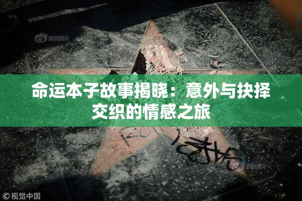 命运本子故事揭晓：意外与抉择交织的情感之旅