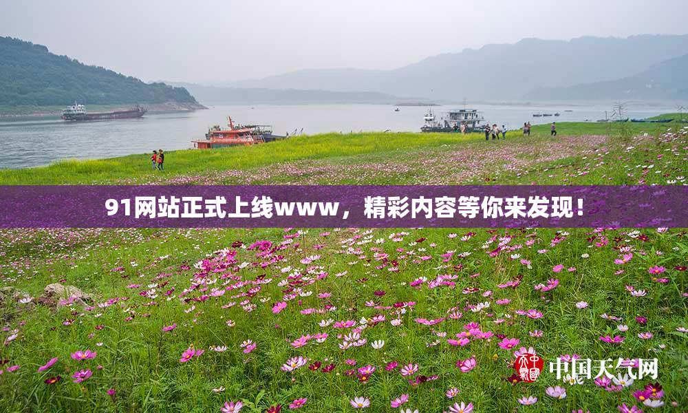 91网站正式上线www，精彩内容等你来发现！
