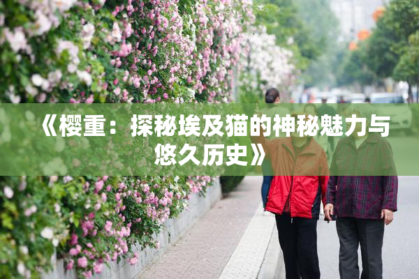 《樱重：探秘埃及猫的神秘魅力与悠久历史》