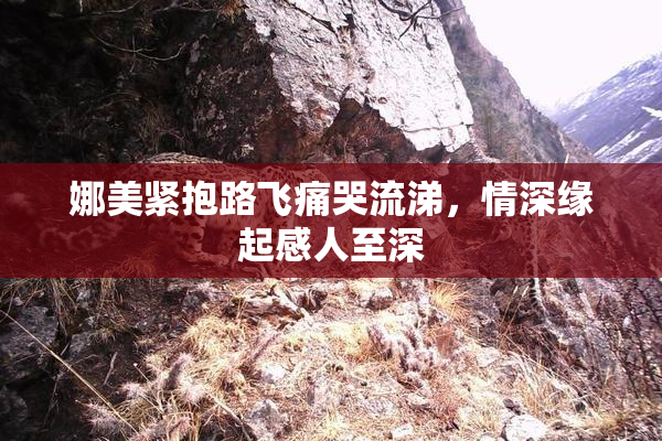 娜美紧抱路飞痛哭流涕，情深缘起感人至深