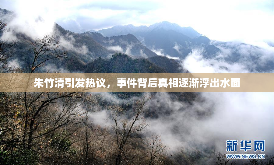 朱竹清引发热议，事件背后真相逐渐浮出水面