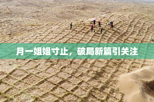 月一姐姐寸止，破局新篇引关注