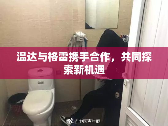 温达与格雷携手合作，共同探索新机遇