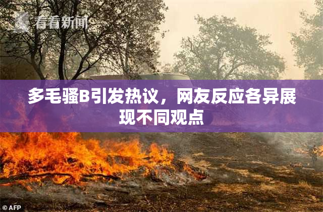 多毛骚B引发热议，网友反应各异展现不同观点