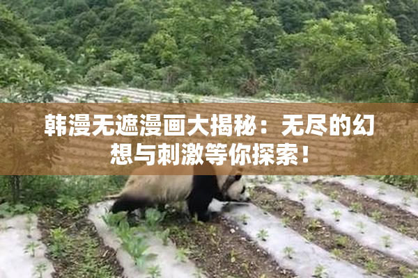 韩漫无遮漫画大揭秘：无尽的幻想与刺激等你探索！