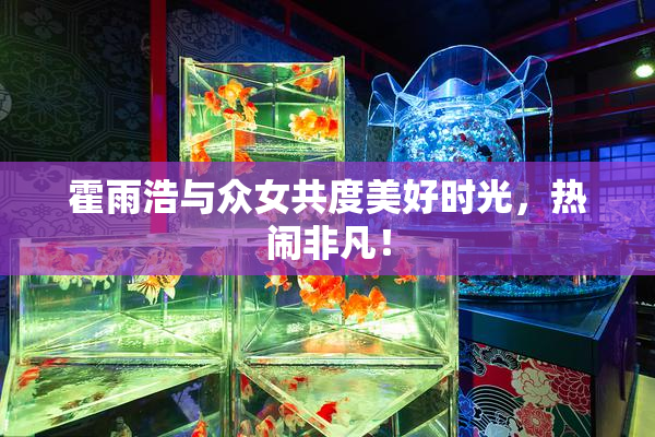 霍雨浩与众女共度美好时光，热闹非凡！