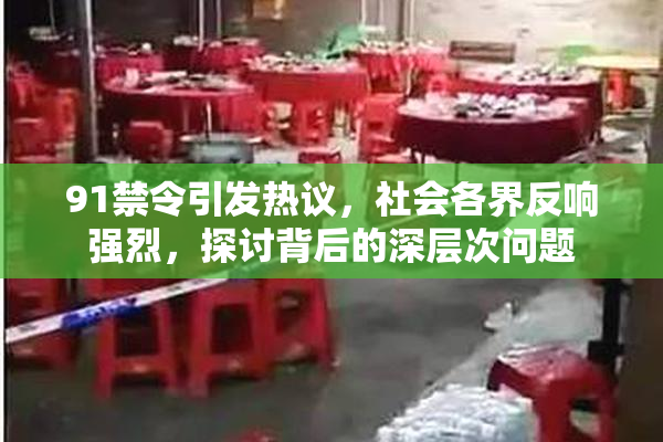 91禁令引发热议，社会各界反响强烈，探讨背后的深层次问题