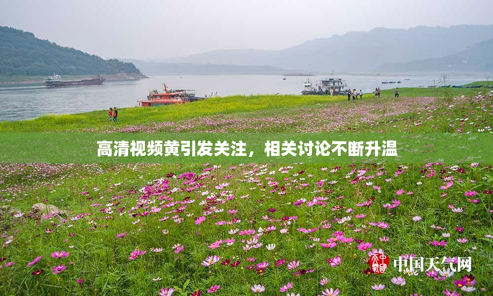 高清视频黄引发关注，相关讨论不断升温