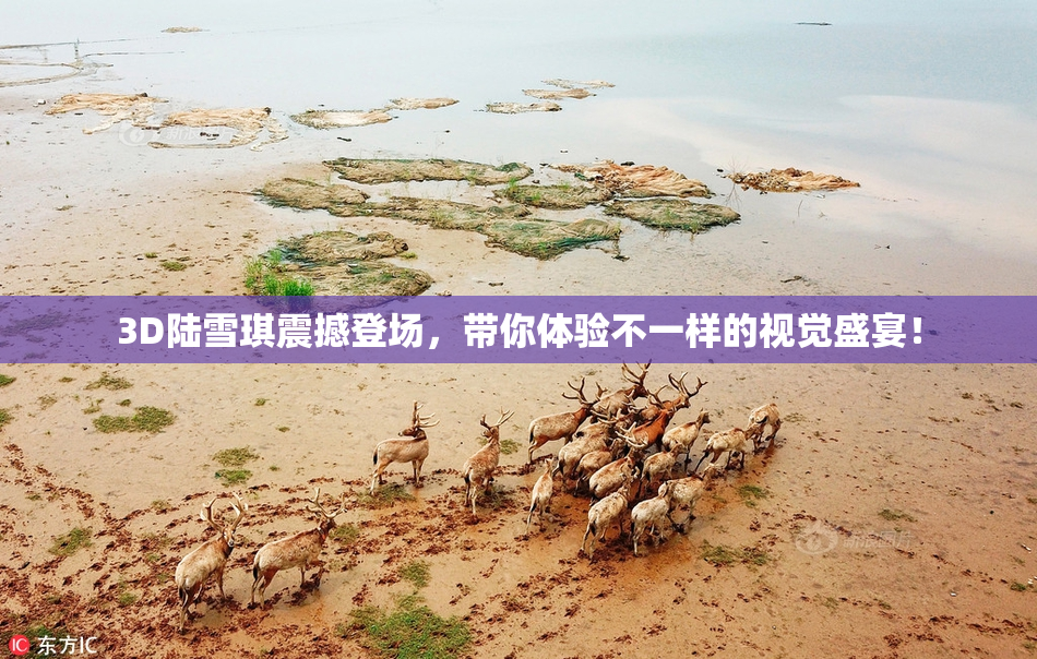 3D陆雪琪震撼登场，带你体验不一样的视觉盛宴！