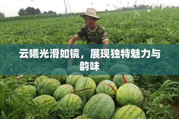 云曦光滑如镜，展现独特魅力与韵味