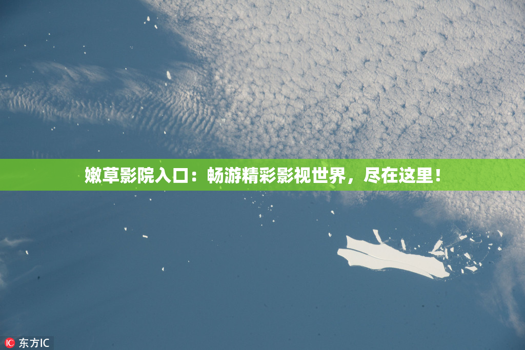 嫩草影院入口：畅游精彩影视世界，尽在这里！