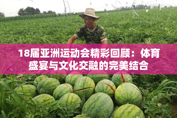 18届亚洲运动会精彩回顾：体育盛宴与文化交融的完美结合