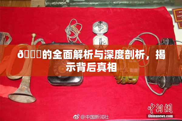 🈚的全面解析与深度剖析，揭示背后真相