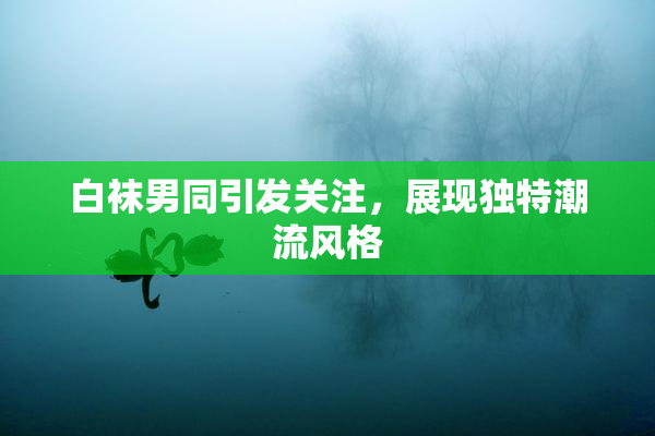 白袜男同引发关注，展现独特潮流风格