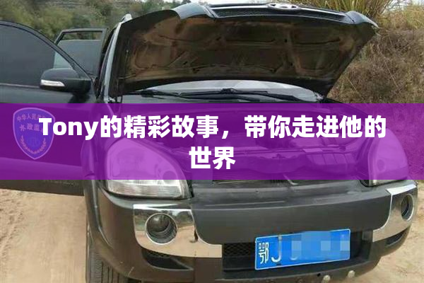Tony的精彩故事，带你走进他的世界