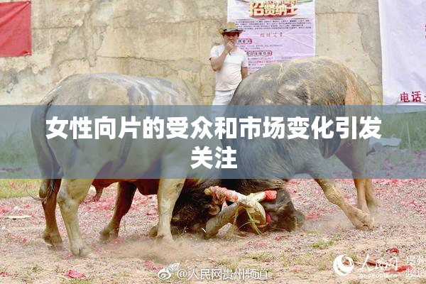 女性向片的受众和市场变化引发关注