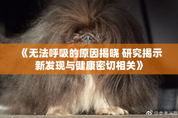《无法呼吸的原因揭晓 研究揭示新发现与健康密切相关》