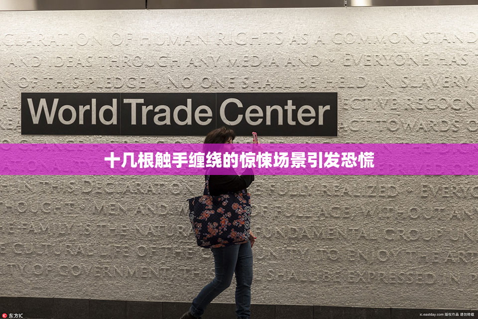 十几根触手缠绕的惊悚场景引发恐慌