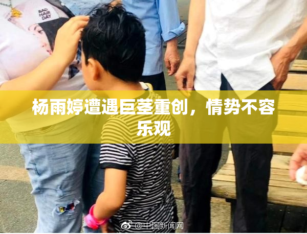 杨雨婷遭遇巨茎重创，情势不容乐观