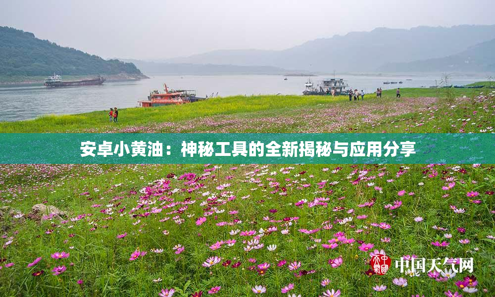 安卓小黄油：神秘工具的全新揭秘与应用分享