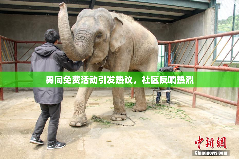男同免费活动引发热议，社区反响热烈