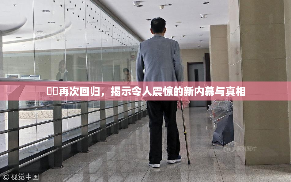 妺妺再次回归，揭示令人震惊的新内幕与真相