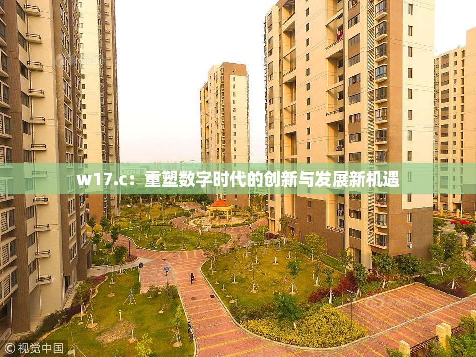 w17.c：重塑数字时代的创新与发展新机遇