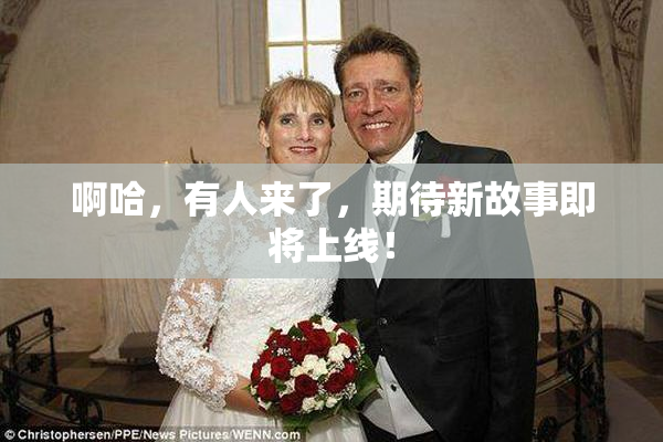 啊哈，有人来了，期待新故事即将上线！