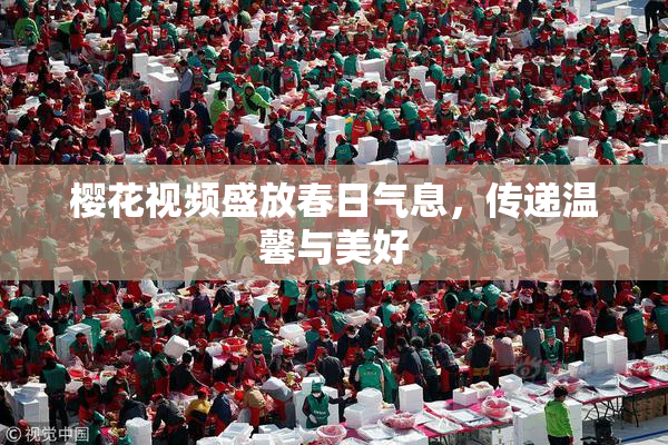 樱花视频盛放春日气息，传递温馨与美好