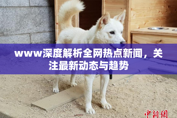 www深度解析全网热点新闻，关注最新动态与趋势