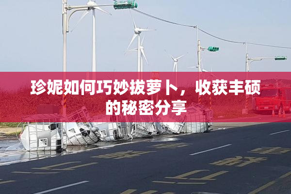 珍妮如何巧妙拔萝卜，收获丰硕的秘密分享
