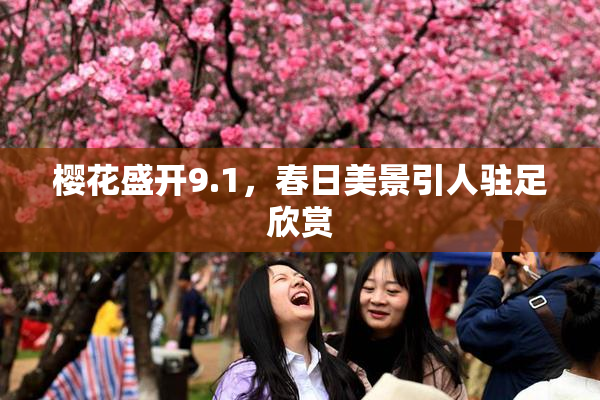 樱花盛开9.1，春日美景引人驻足欣赏