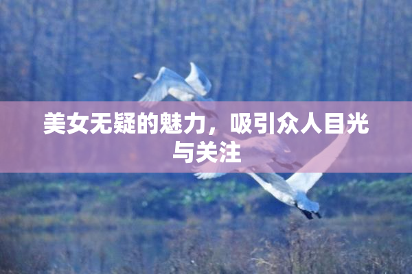 美女无疑的魅力，吸引众人目光与关注