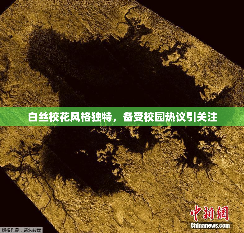白丝校花风格独特，备受校园热议引关注