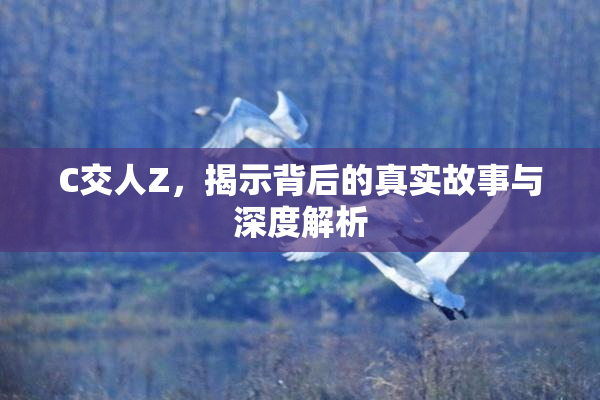 C交人Z，揭示背后的真实故事与深度解析