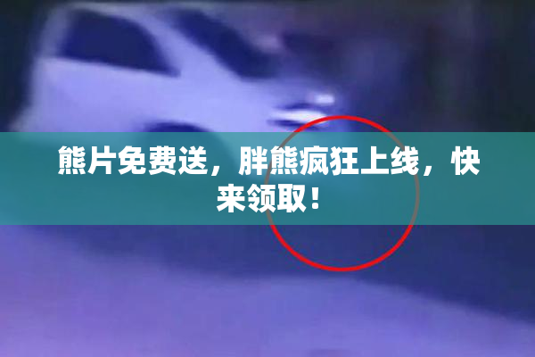 熊片免费送，胖熊疯狂上线，快来领取！