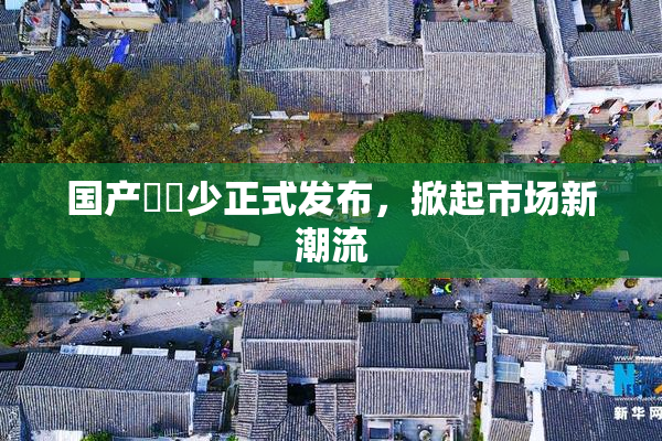 国产❌‌少正式发布，掀起市场新潮流