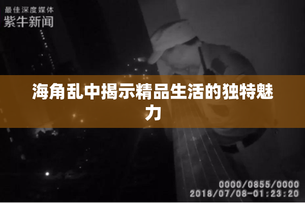 海角乱中揭示精品生活的独特魅力