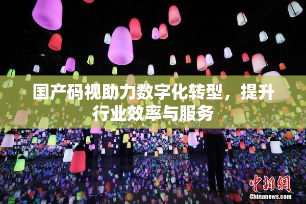 国产码视助力数字化转型，提升行业效率与服务