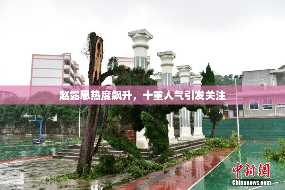 赵露思热度飙升，十重人气引发关注