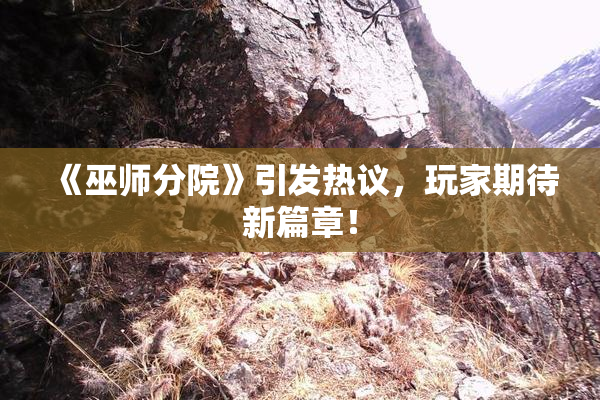 《巫师分院》引发热议，玩家期待新篇章！