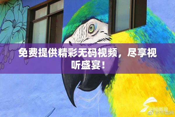 免费提供精彩无码视频，尽享视听盛宴！