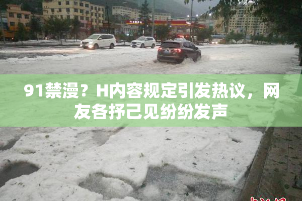 91禁漫？H内容规定引发热议，网友各抒己见纷纷发声