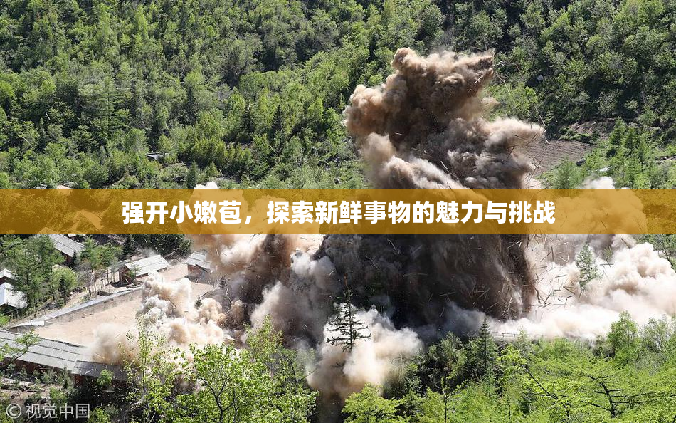 强开小嫩苞，探索新鲜事物的魅力与挑战