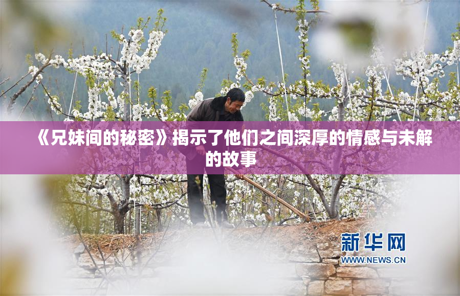 《兄妹间的秘密》揭示了他们之间深厚的情感与未解的故事