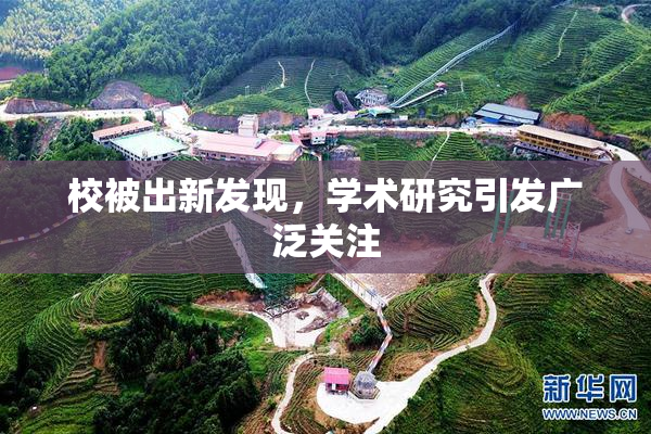 校被出新发现，学术研究引发广泛关注