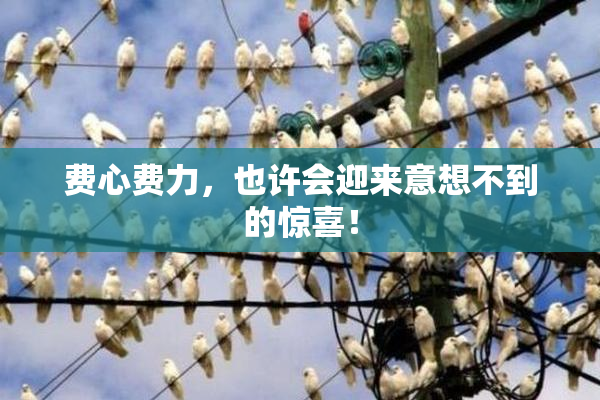 费心费力，也许会迎来意想不到的惊喜！